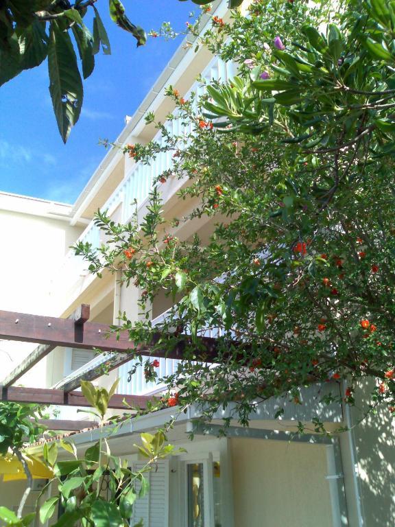 Villa Tenzera Herceg Novi Buitenkant foto